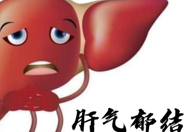 软件截图1